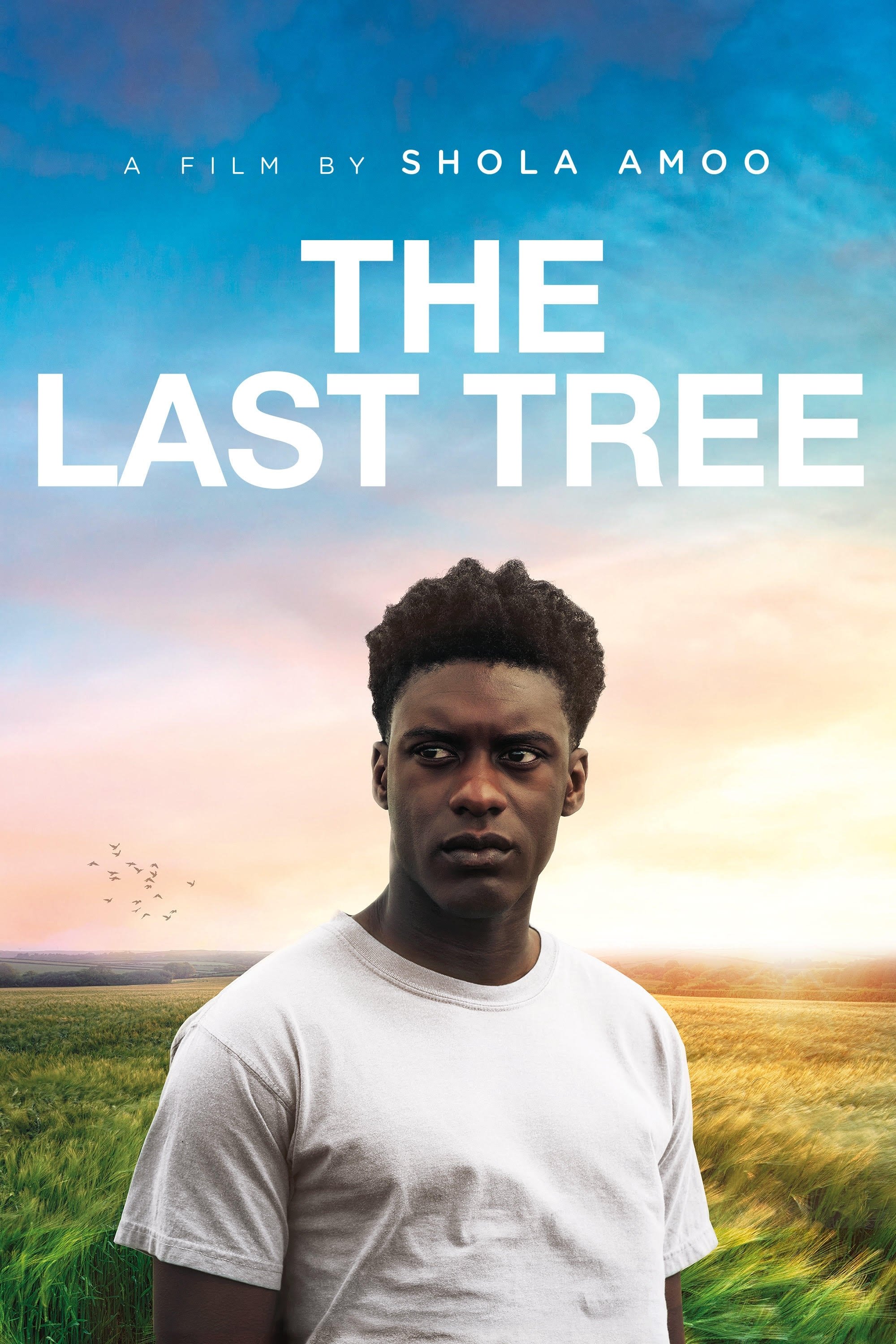 Постер The Last Tree